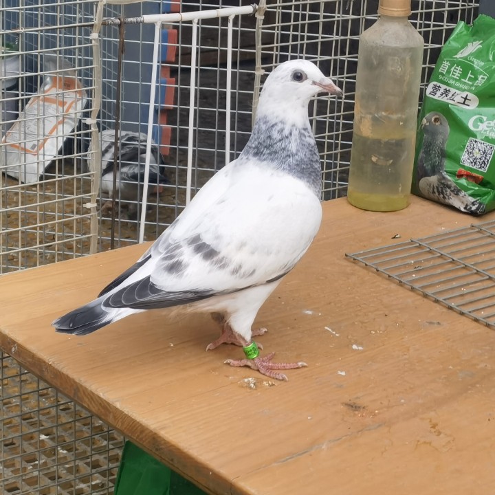 ����TA�ĸ�����