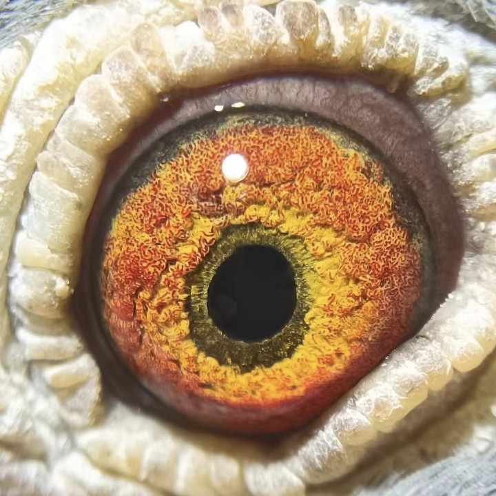 ����TA�ĸ�����