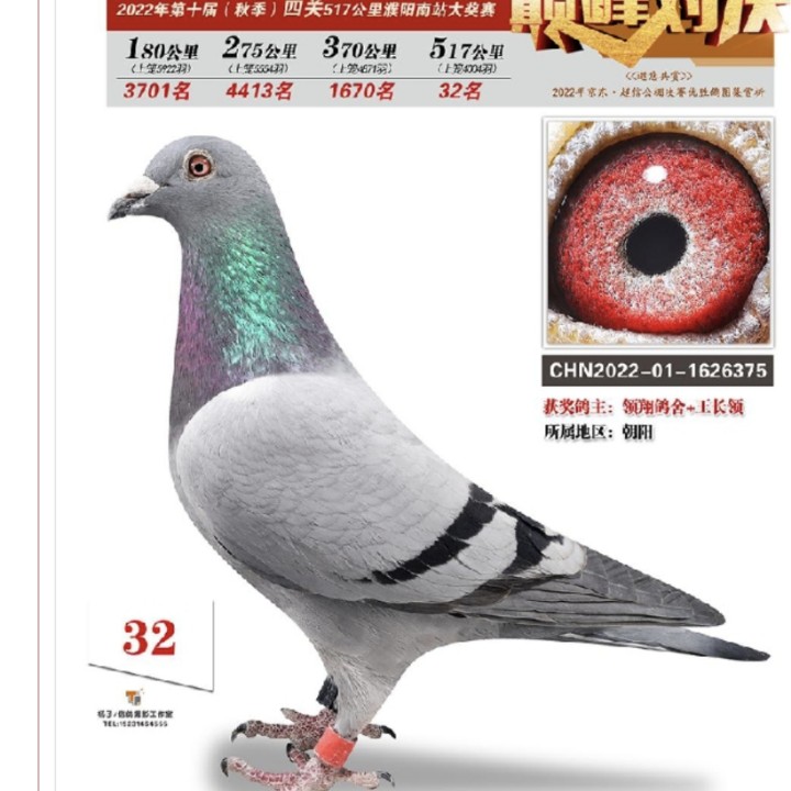 ����TA�ĸ�����