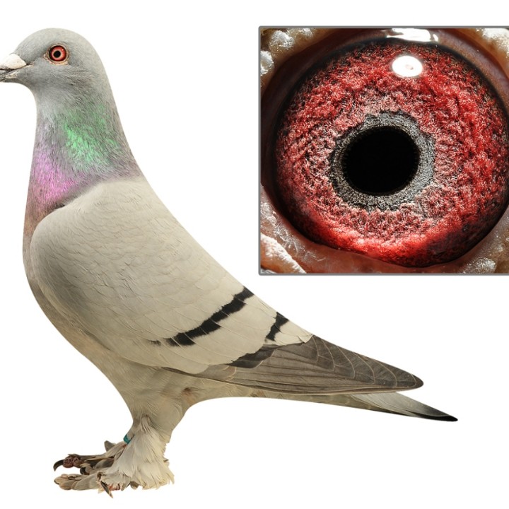 ����TA�ĸ�����