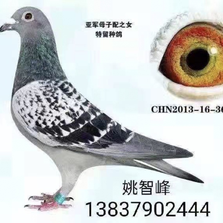 ����TA�ĸ�����