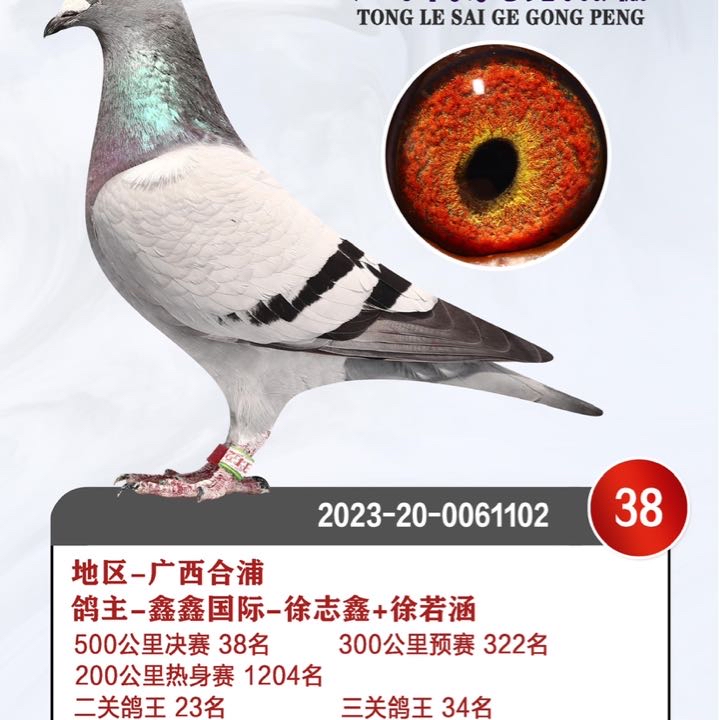 ����TA�ĸ�����