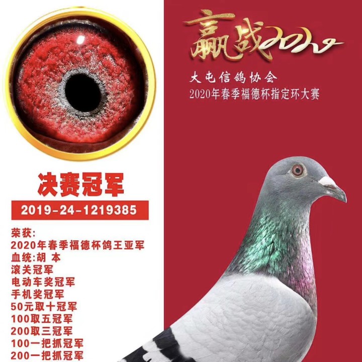 ����TA�ĸ�����