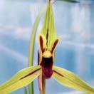 看看TA的鸽舍简介