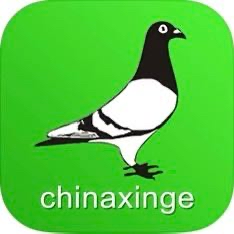 ����TA�ĸ�����