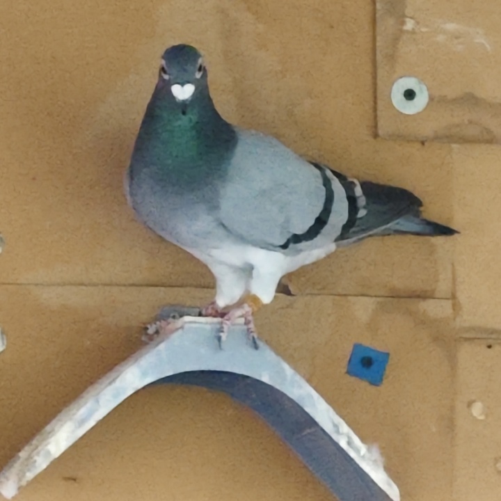 ����TA�ĸ�����