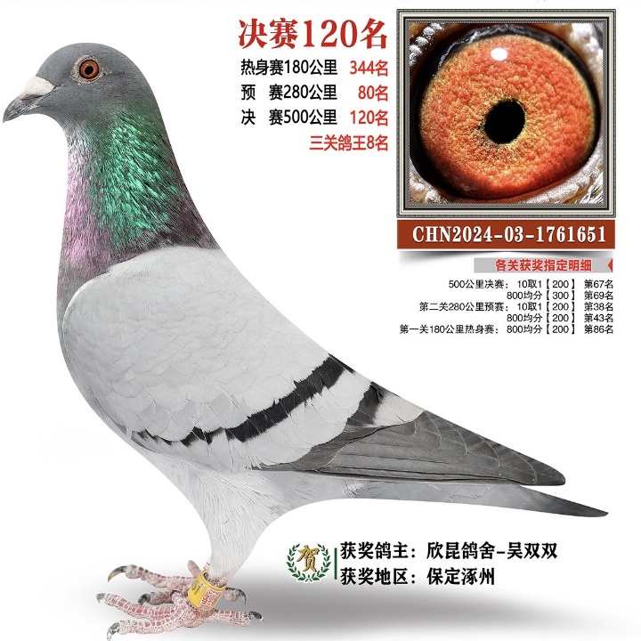 ����TA�ĸ�����