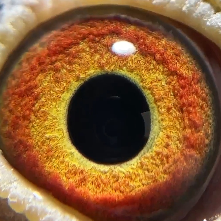 ����TA�ĸ�����