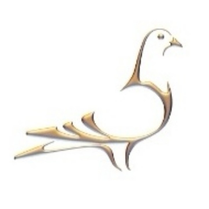 ����TA�ĸ�����