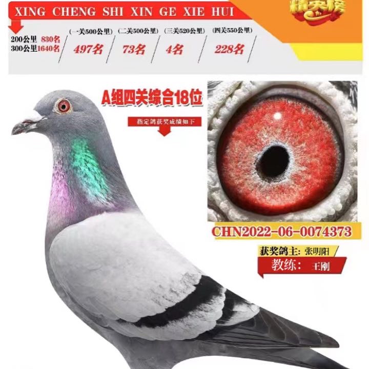 ����TA�ĸ�����