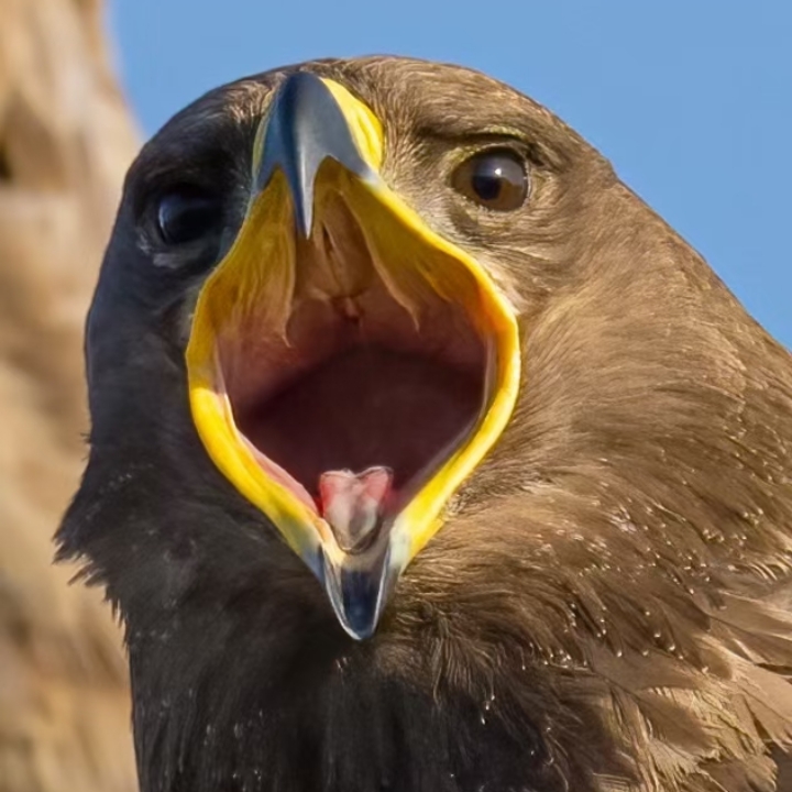 ����TA�ĸ�����