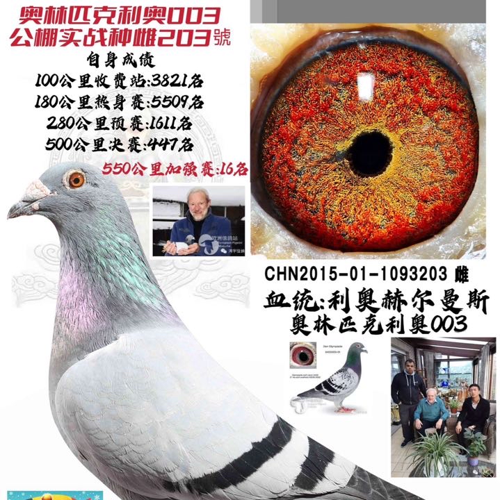 ����TA�ĸ�����