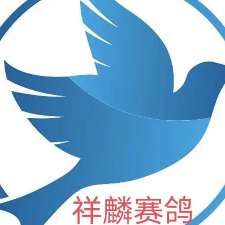 ����TA�ĸ�����