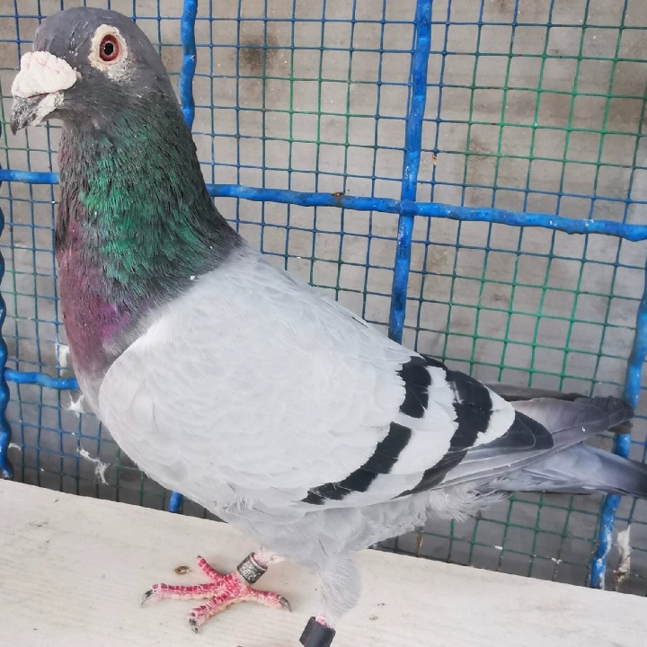 ����TA�ĸ�����