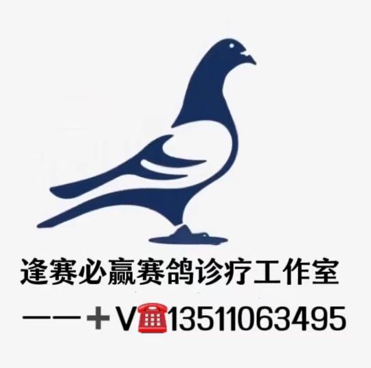 ����TA�ĸ�����