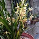 ����TA�ĸ�����