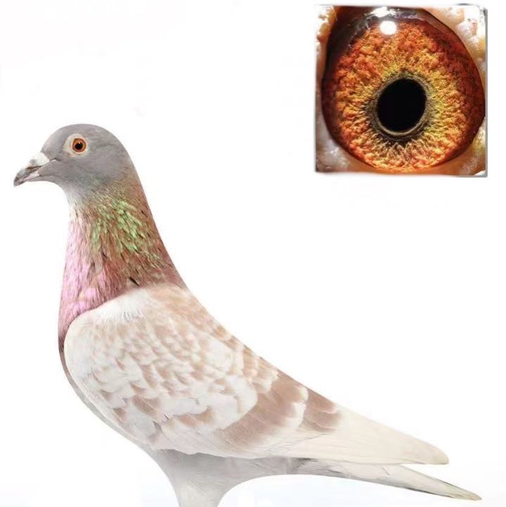 ����TA�ĸ�����