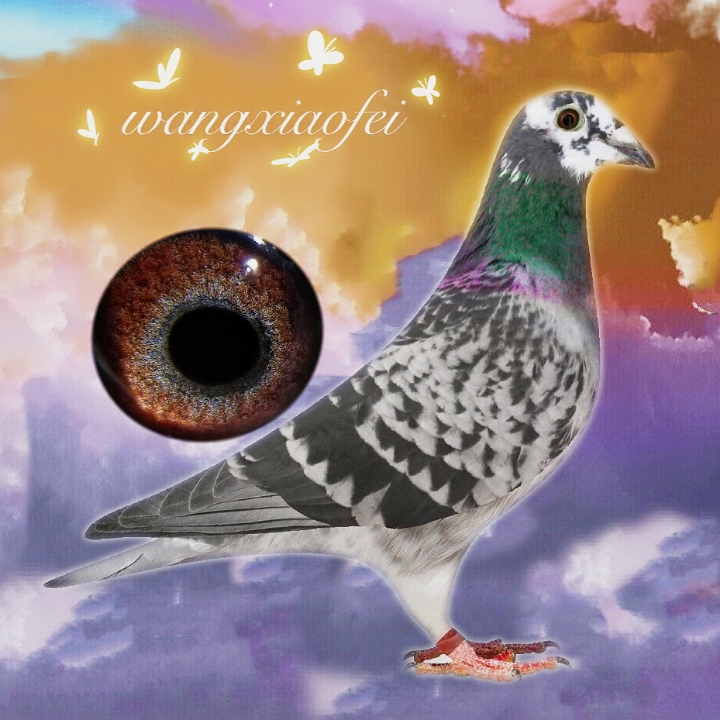 ����TA�ĸ�����