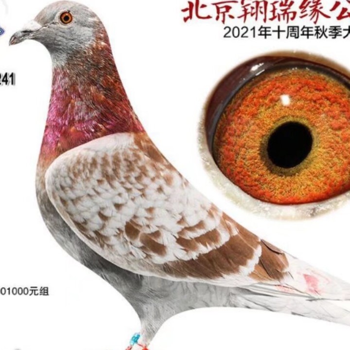 ����TA�ĸ�����