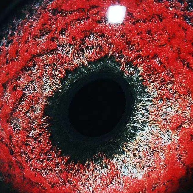 ����TA�ĸ�����