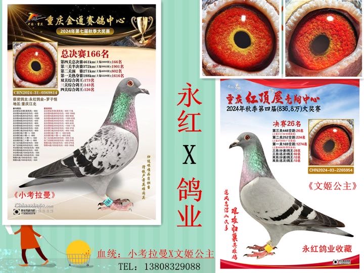 ����TA�ĸ�����