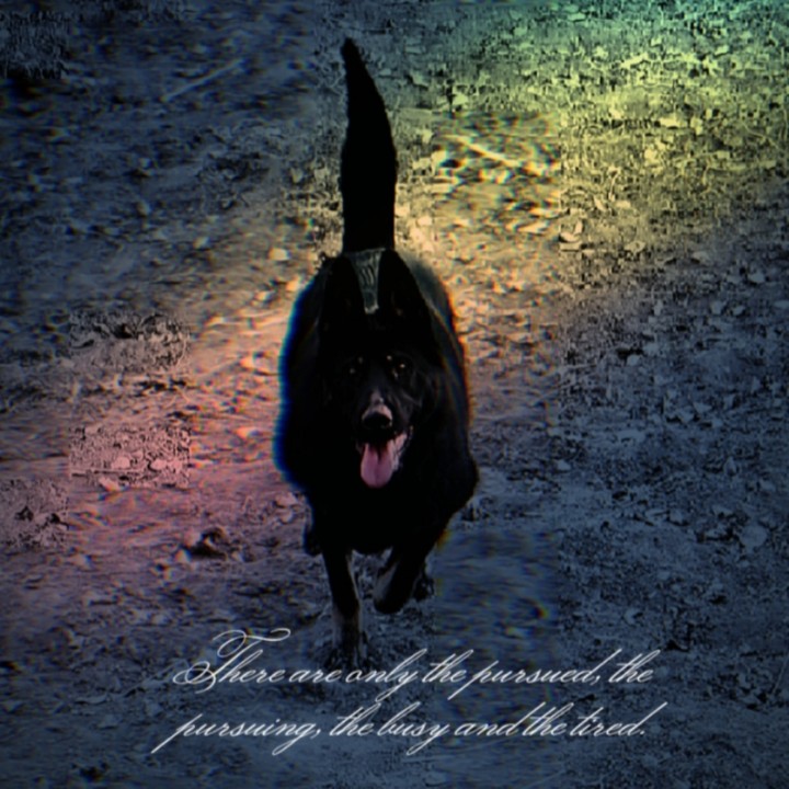 ����TA�ĸ�����