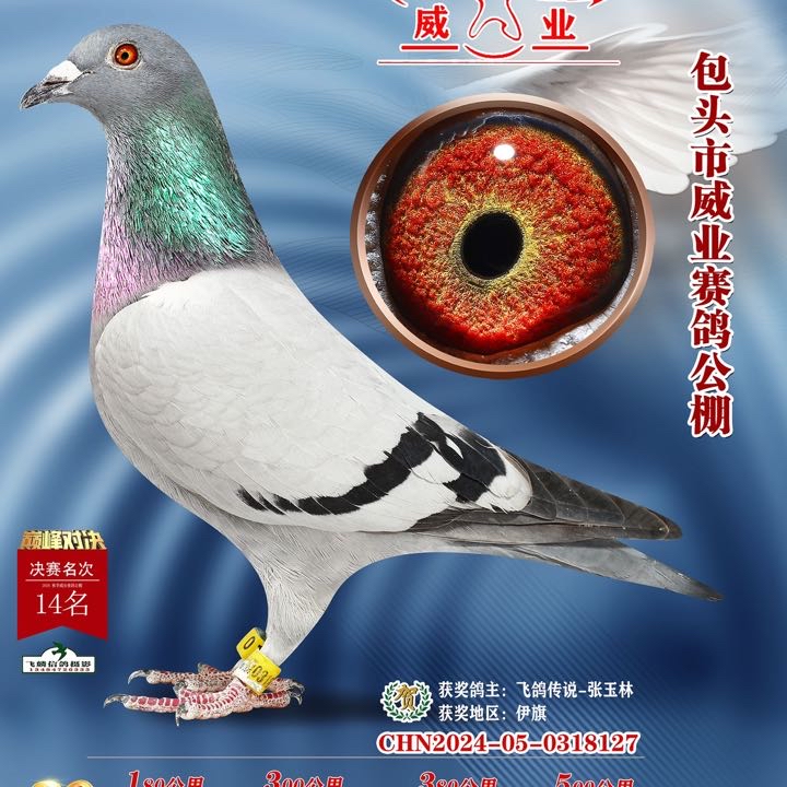 ����TA�ĸ�����