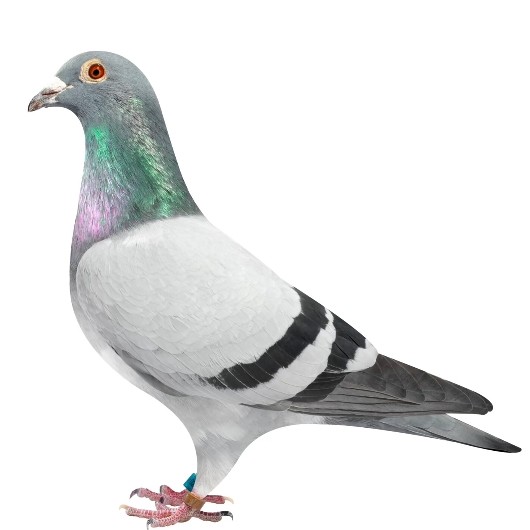 ����TA�ĸ�����