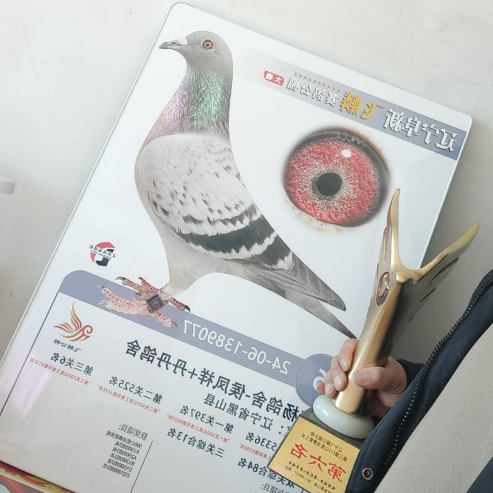 ����TA�ĸ�����