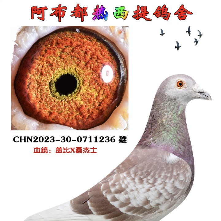 ����TA�ĸ�����