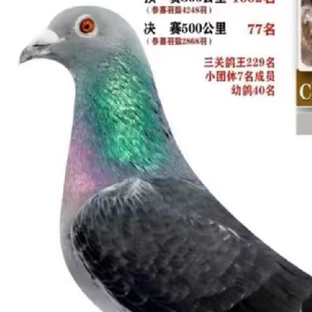 ����TA�ĸ�����