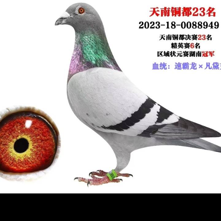 ����TA�ĸ�����