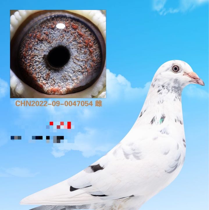 ����TA�ĸ�����