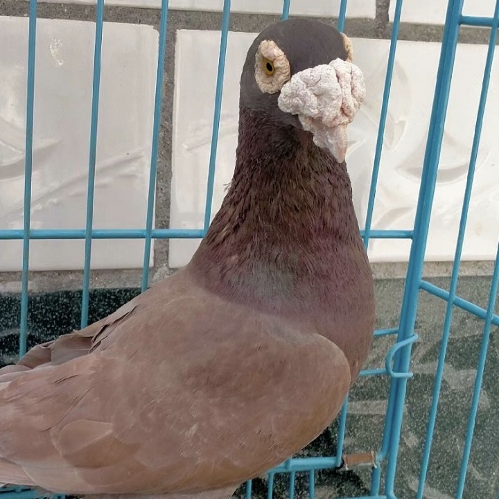 ����TA�ĸ�����