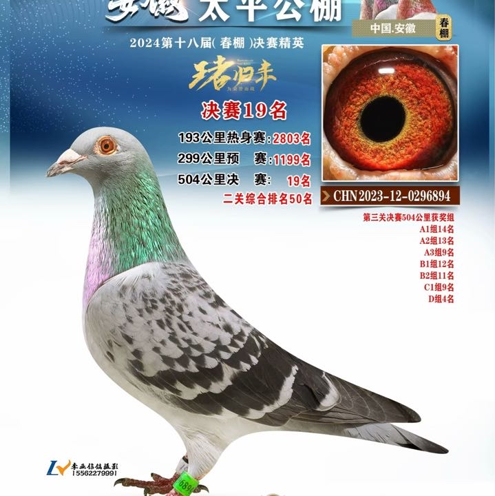 ����TA�ĸ�����