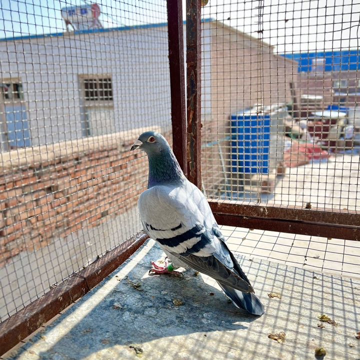 ����TA�ĸ�����