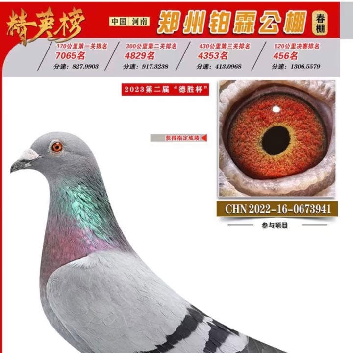 ����TA�ĸ�����