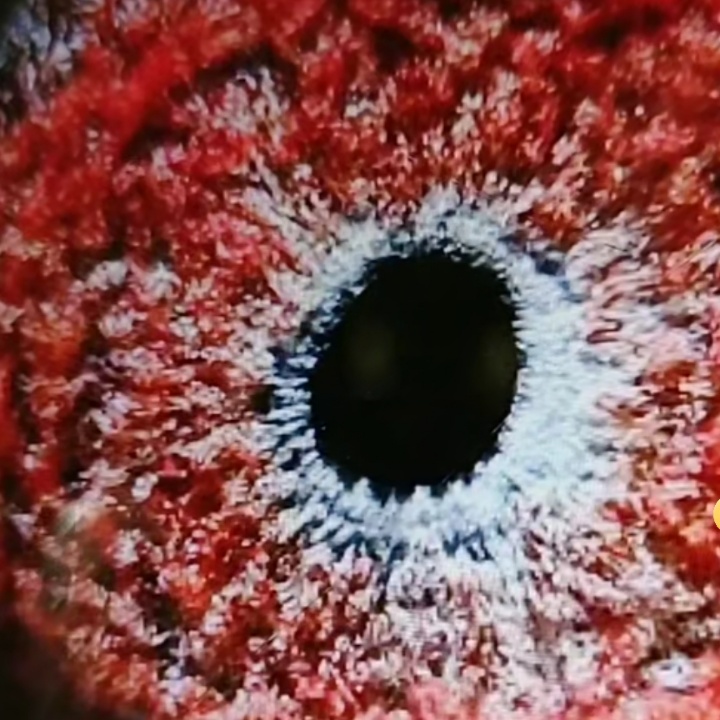 ����TA�ĸ�����