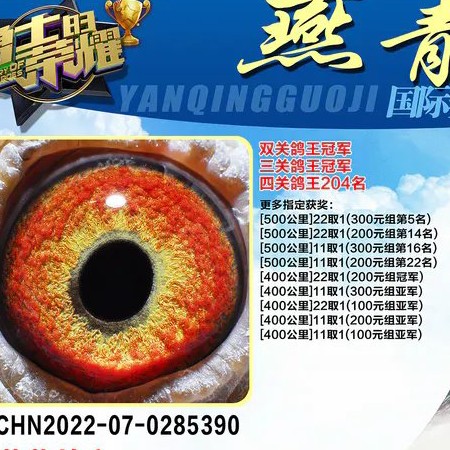 ����TA�ĸ�����