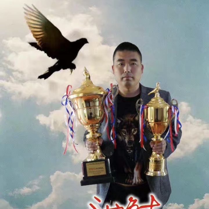 看看TA的鸽舍简介