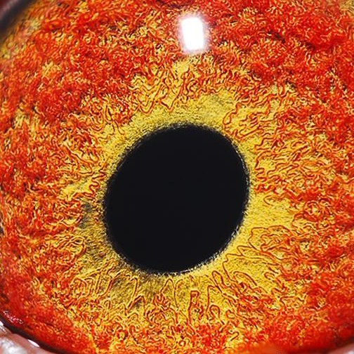 ����TA�ĸ�����