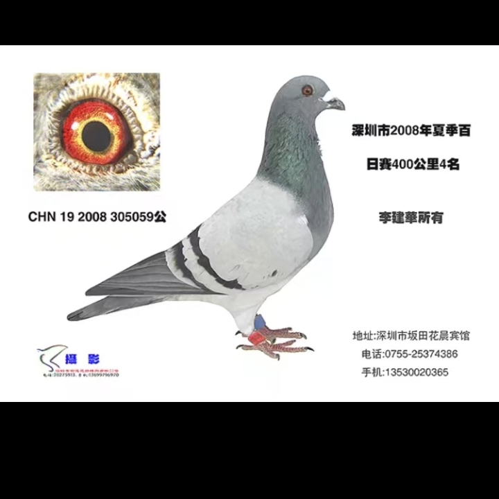 ����TA�ĸ�����