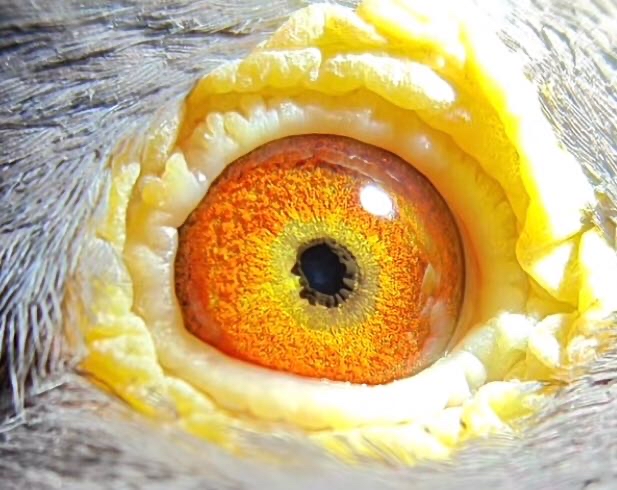 ����TA�ĸ�����