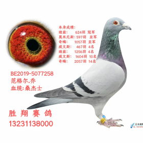 ����TA�ĸ�����