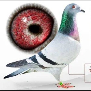 ����TA�ĸ�����