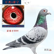 ����TA�ĸ�����