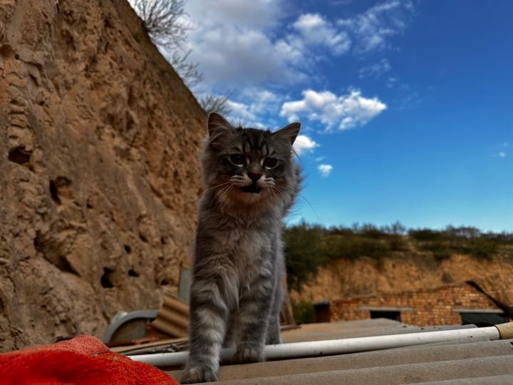 ����TA�ĸ�����