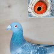 ����TA�ĸ�����