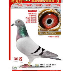 ����TA�ĸ�����