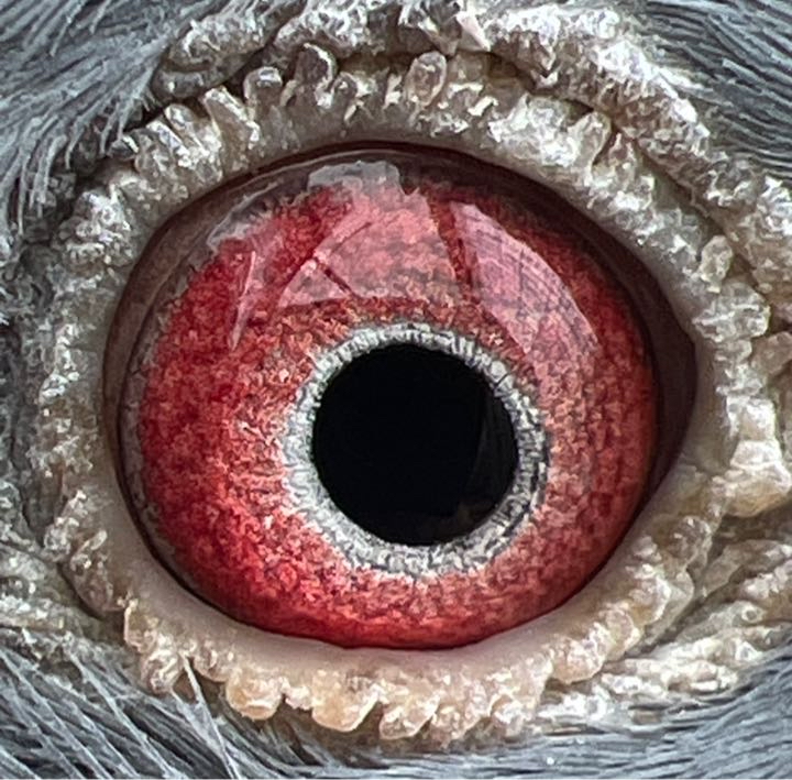 ����TA�ĸ�����